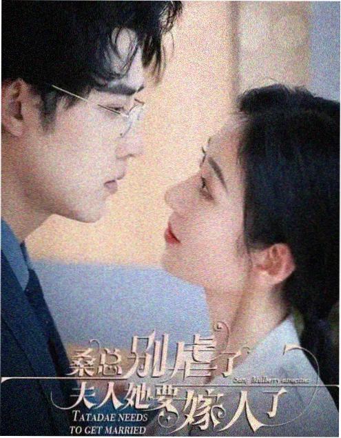 父母爱情幕后纪实特辑 海报